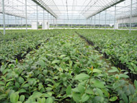 ��ʩ����