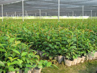 �ٰ����������Ƽ�԰�����޹�˾