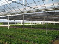 ��ɽ����Ԫ��ҵ���޹�˾