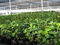 ��ɽ����Ԫ��ҵ���޹�˾