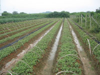 ��ɽ���������̳�԰�����޹�˾