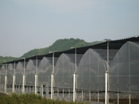 �ٰ�Э����ͩ��ľרҵ������