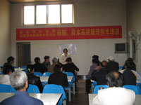 �ٰ�Э����ͩ��ľרҵ������