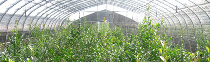 �㽭ʢ��԰�����޹�˾